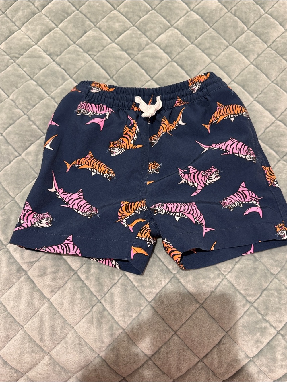 Toddler boys chubbies swim trunks 4T